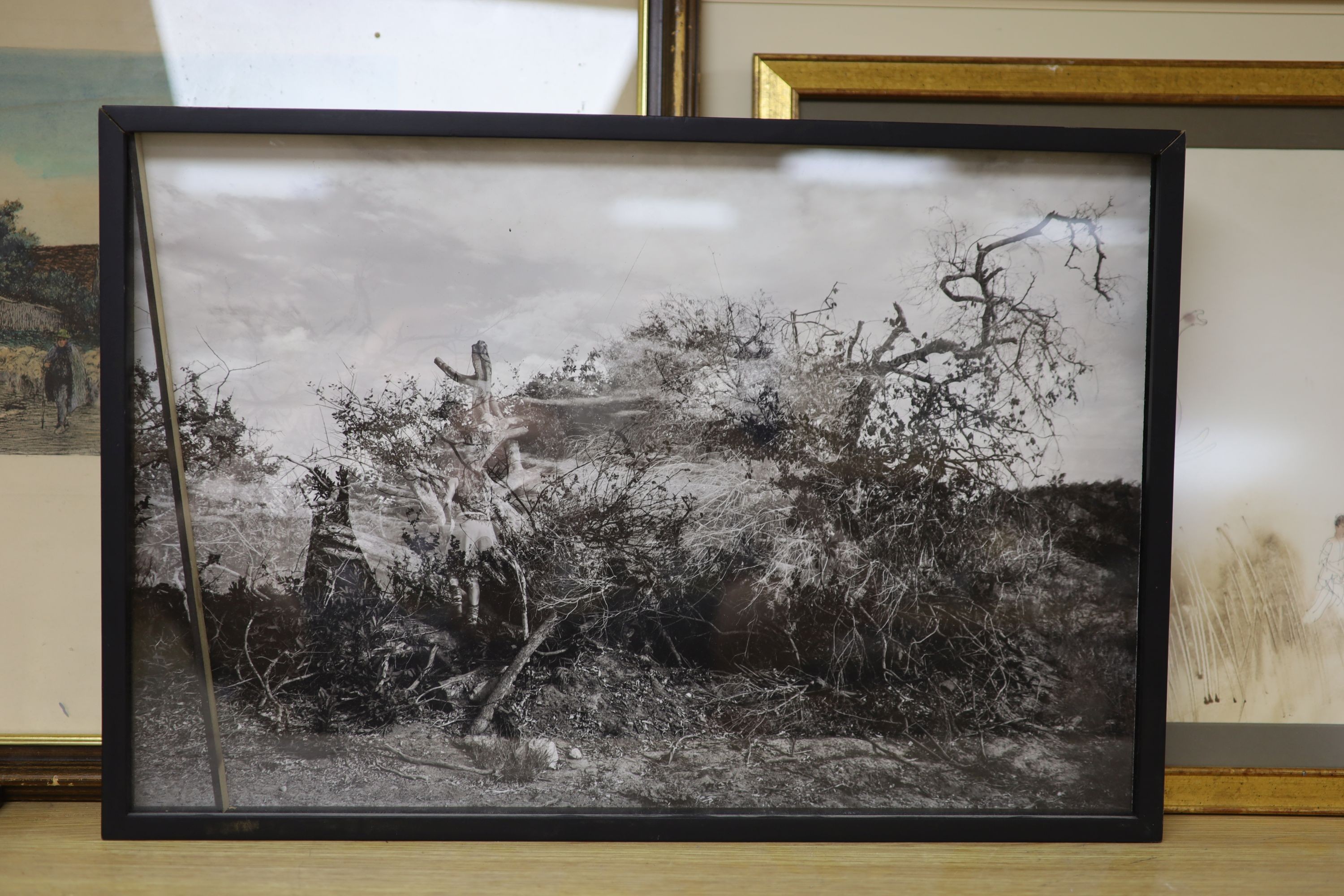 A group of assorted pictures including a Paula Gil photograph, Modern British elephant hunt illustration, and a Carol Wester handwritten poem; The Actor Dies for Harold Pinter, inscribed at the bottom 'written out for To